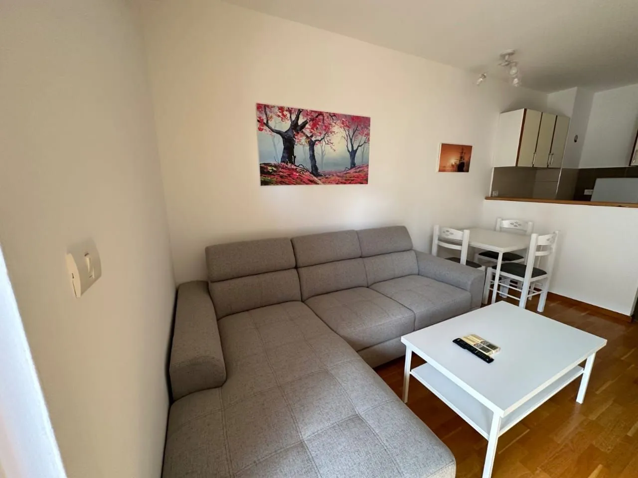 Rent, one bedroom apartment, 50m², City Kej, Podgorica