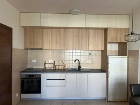 Izdavanje, jednosoban stan, 42m², Stari Aerodrom, Podgorica - image 2