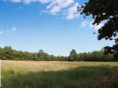 Prodaja, plac, 7200m², Draževac, Obrenovac - image 2