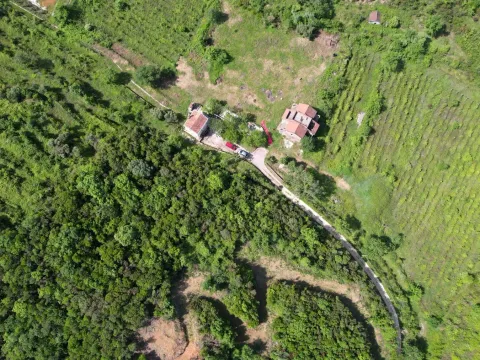 Prodaja, plac, 83000m², Radanovići, Kotor - image 3