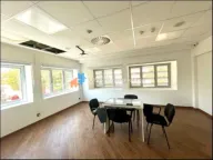 Izdavanje, poslovni prostor, 325m², Retenzija, Beograd - image 17