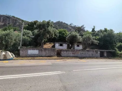 Pogled sa puta na plac sa starom kućom i drvećem. - image 2