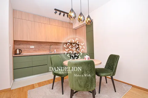 Rent, one bedroom apartment, 59m², Central Point, Podgorica - image 638