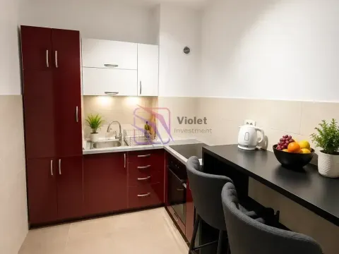 Izdavanje, jednosoban stan, 50m², City Kvart, Podgorica - image 4