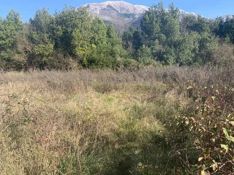 Prodaja, plac, 1000m², Kotor, Crna Gora
