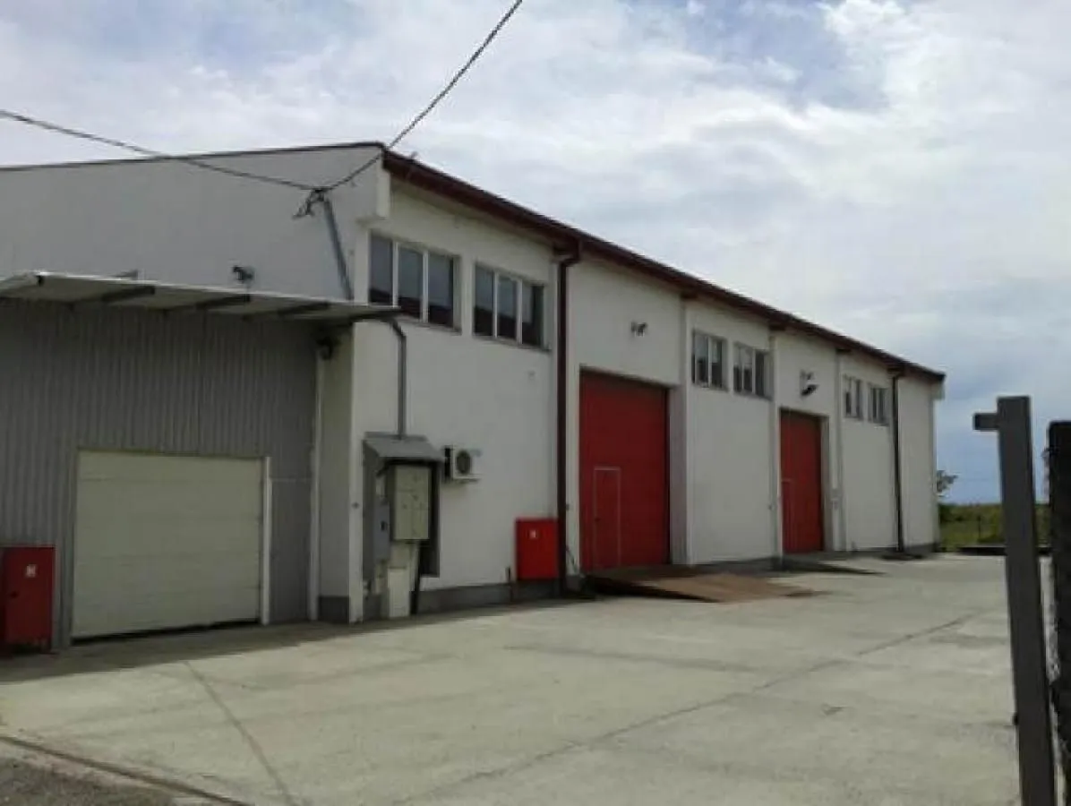 Izdavanje, poslovni prostor, 800m², Batajnica, Beograd