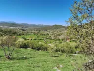 Prodaja,  zemljište, 26000m2, Čevo, Cetinje