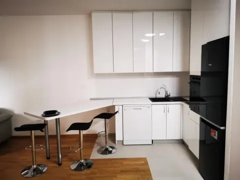 Izdavanje, jednosoban stan, 48m², Stari Aerodrom, Podgorica - image 3