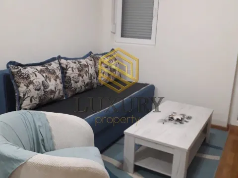 Rent, one bedroom apartment, 42m², Stari Aerodrom, Podgorica - image 1