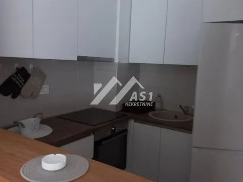 Izdavanje, dvosoban stan, 50m², Jugovićevo, Novi Sad Sve Podlokacije - image 4