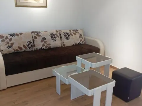 Rent, one bedroom apartment, 45m², Adice, Novi Sad Sve Podlokacije - image 3