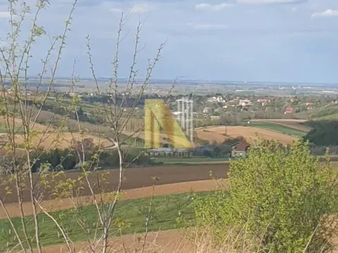 Prodaja, plac, 2500m², Novi Sad, Srbija - image 2