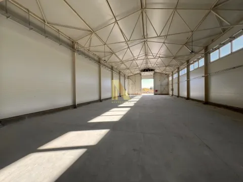 Izdavanje, poslovni prostor, 600m², Temerin, Novi Sad - image 4