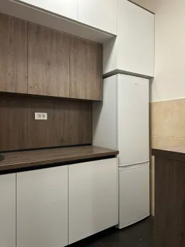 Stan-na-dan, jednosoban stan, 43m², Zabjelo, Podgorica - image 8