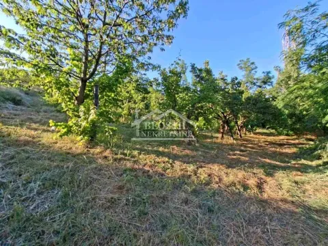Prodaja, plac, 1800m², Grocka, Beograd - image 5