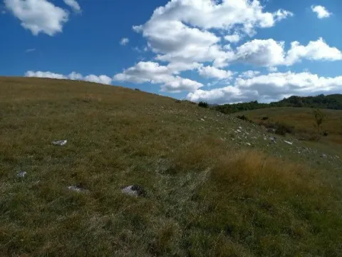 Prodaja, plac, 400000m², Podgorica, Crna Gora - image 2