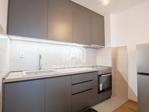 Izdavanje, jednosoban stan, 40m², Stari Aerodrom, Podgorica - image 4