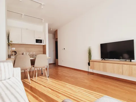 Rent, one bedroom apartment, 45m², Bečići, Budva - image 12