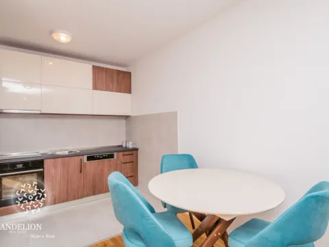 Izdavanje, jednosoban stan, 55m², Stari Aerodrom, Podgorica - image 5