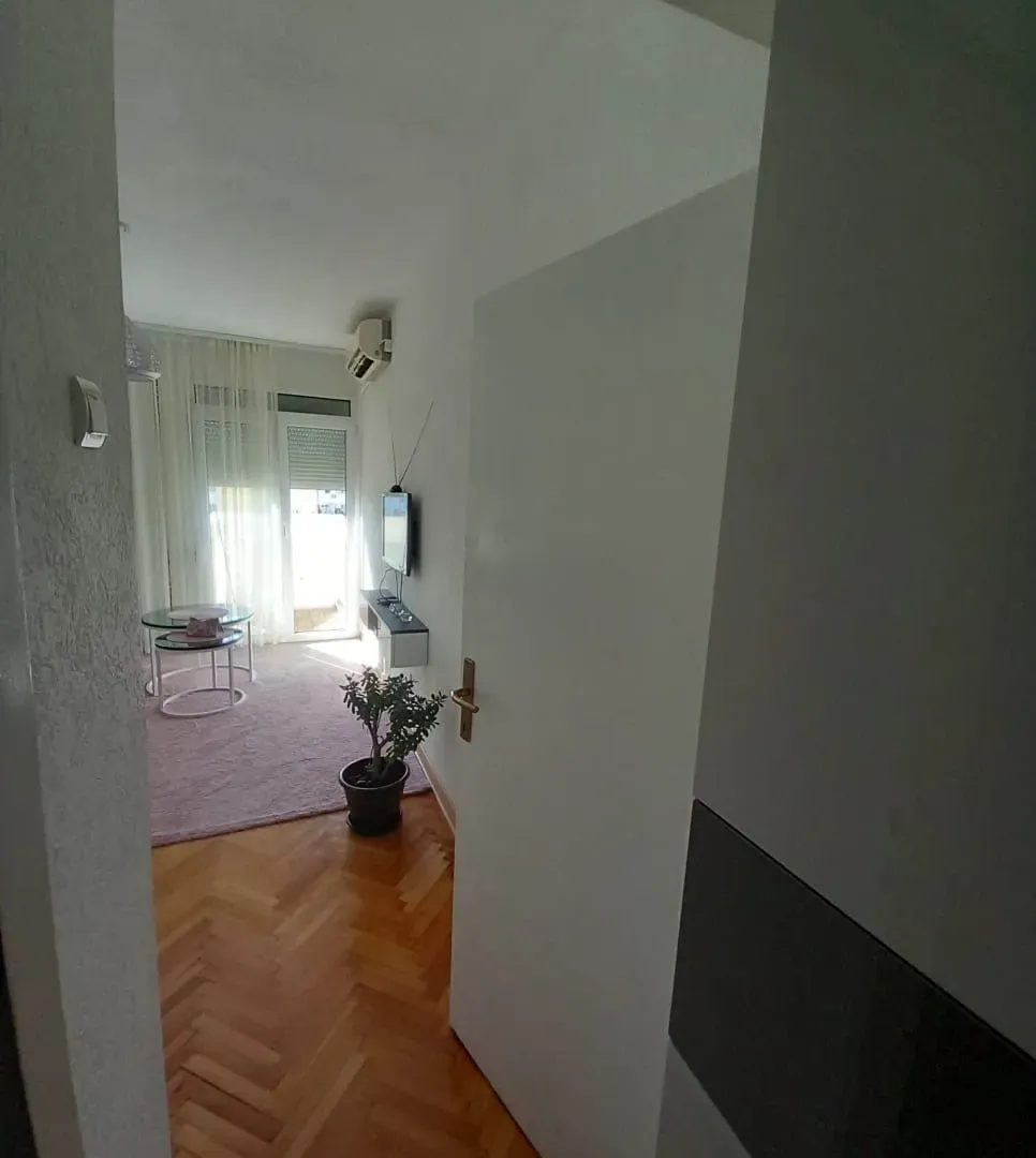 Rent, one bedroom apartment, 24m², Gintaš, Podgorica