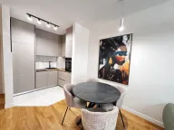 Izdavanje, jednosoban stan, 40m², Central Point, Podgorica - image 5