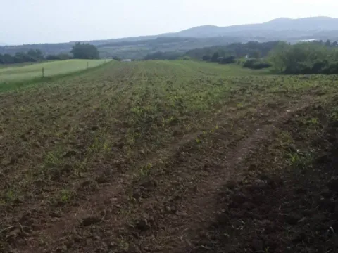 Prodaja, plac, 22671m², Mladenovac, Beograd - image 3