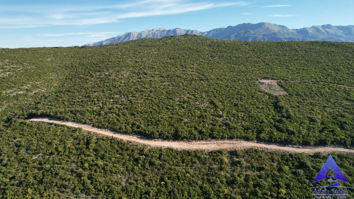 Prodaja, plac, 18487m², Zagora, Kotor