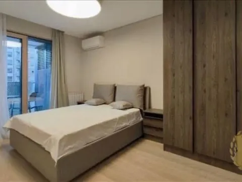 Izdavanje, dvosoban stan, 60m², Stari Merkator, Novi Beograd Sve Podlokacije - image 9