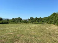 Sale, land lot, 14717m², Kosić, Danilovgrad - image 6