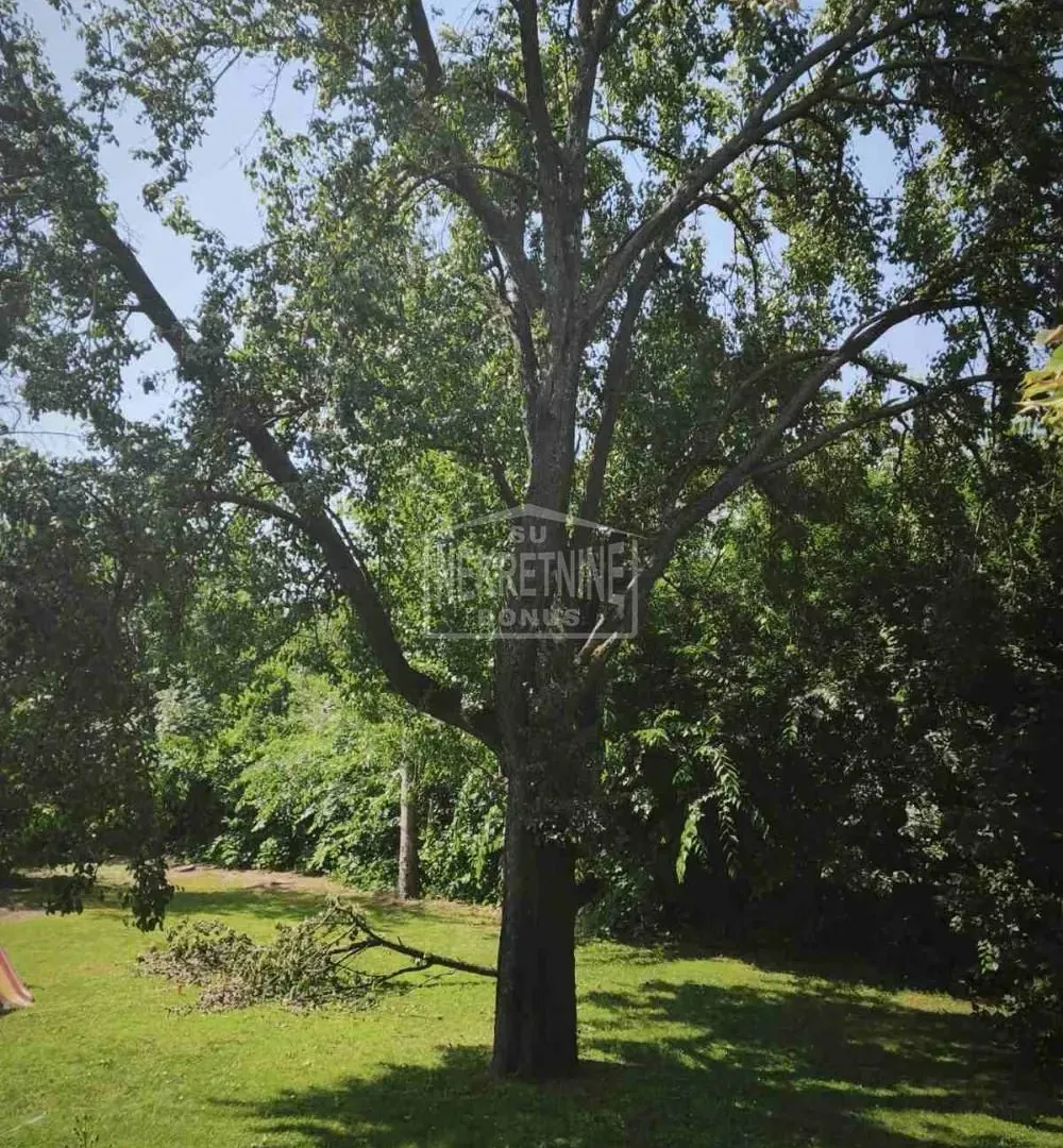 Sale, house, 49m², Peščara, Subotica