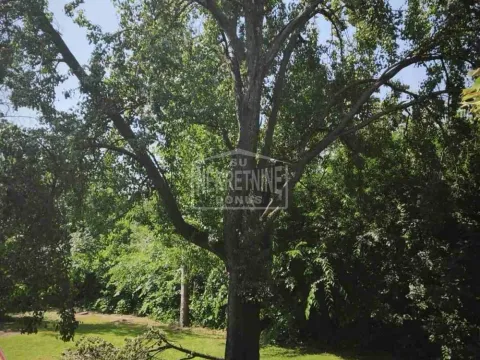 Sale, house, 49m², Peščara, Subotica - image 9