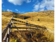 Prodaja, plac, 6000m², Berane, Crna Gora - image 2