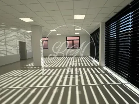 Izdavanje, poslovni prostor, 228m², Altina, Beograd - image 3