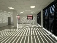 Izdavanje, poslovni prostor, 228m², Altina, Beograd - image 3