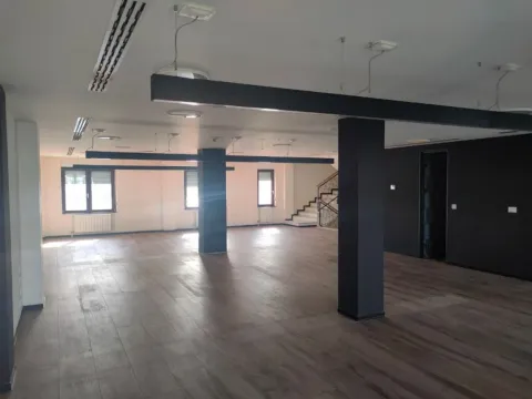 Izdavanje, poslovni prostor, 394m², Novi Sad Sve Podlokacije, Novi Sad - image 8