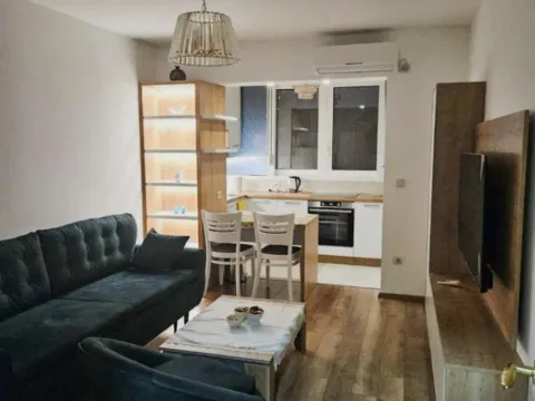 Izdavanje, jednosoban stan, 40m², Preko Morače, Podgorica