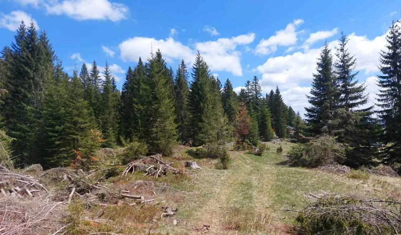 Prodaja, plac, 17500m², Uskoci, Žabljak