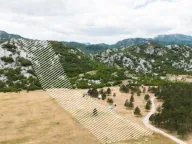 Sale, land lot, 39020m², Grahovo, Nikšić - image 2