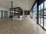 Izdavanje, poslovni prostor, 850m², Zemun Sve Podlokacije, Beograd - image 3