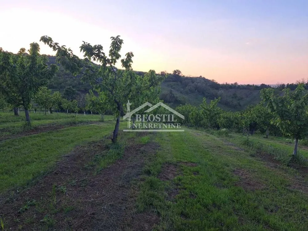 Prodaja, plac, 10000m², Ritopek, Grocka