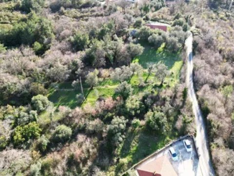 Sale, land lot, 1650m², Kavač, Kotor - image 7