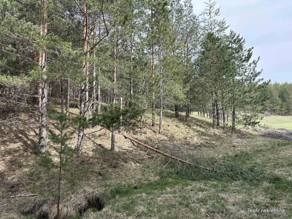 Prodaja, plac, 6600m², Zlatibor, Srbija
