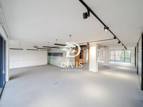 Rent, office space, 294m², Savski Venac, Beograd - image 5