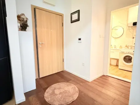 Rent, one bedroom apartment, 48m², Vezirov Most, Podgorica - image 5