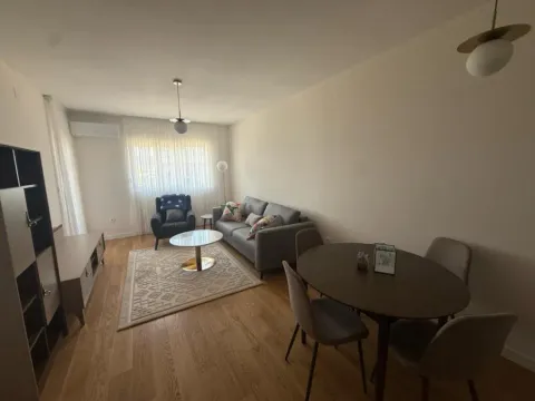 Izdavanje, jednosoban stan, 49m², Central Point, Podgorica - image 4