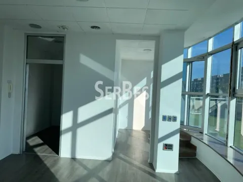 Rent, office space, 352m², Bulevar Oslobodjenja, Novi Sad Sve Podlokacije - image 5