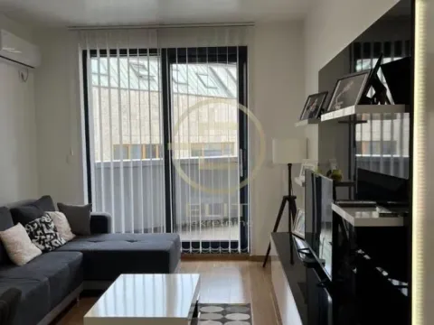 Izdavanje, dvosoban stan, 56m², Centar, Novi Sad