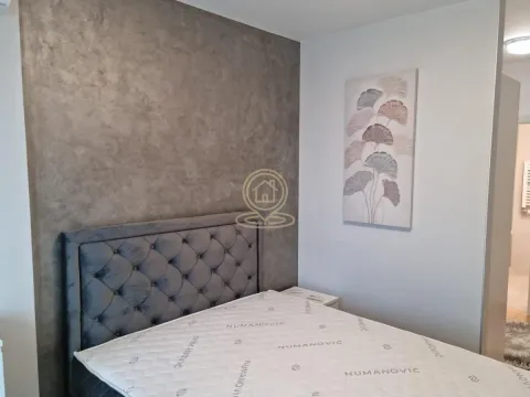 Izdavanje, trosoban stan, 60m², Novi Beograd Blok 65, Novi Beograd Sve Podlokacije - image 11