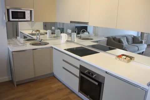 Moderna kuhinja sa ugrađenom rernom i pločom za kuvanje u sklopu otvorenog prostora. - image 4