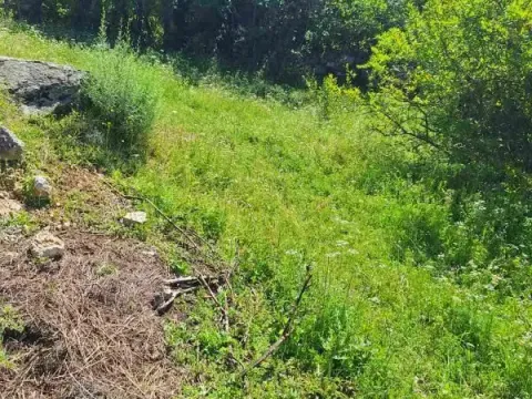 Prodaja, kuća, 73m², Danilovgrad, Crna Gora - image 3